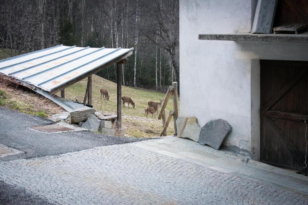 Casa Vacanze Grand-Haury Da Andrea Arvier Bagian luar foto